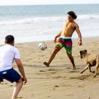 actividades_6 MASCOTAS